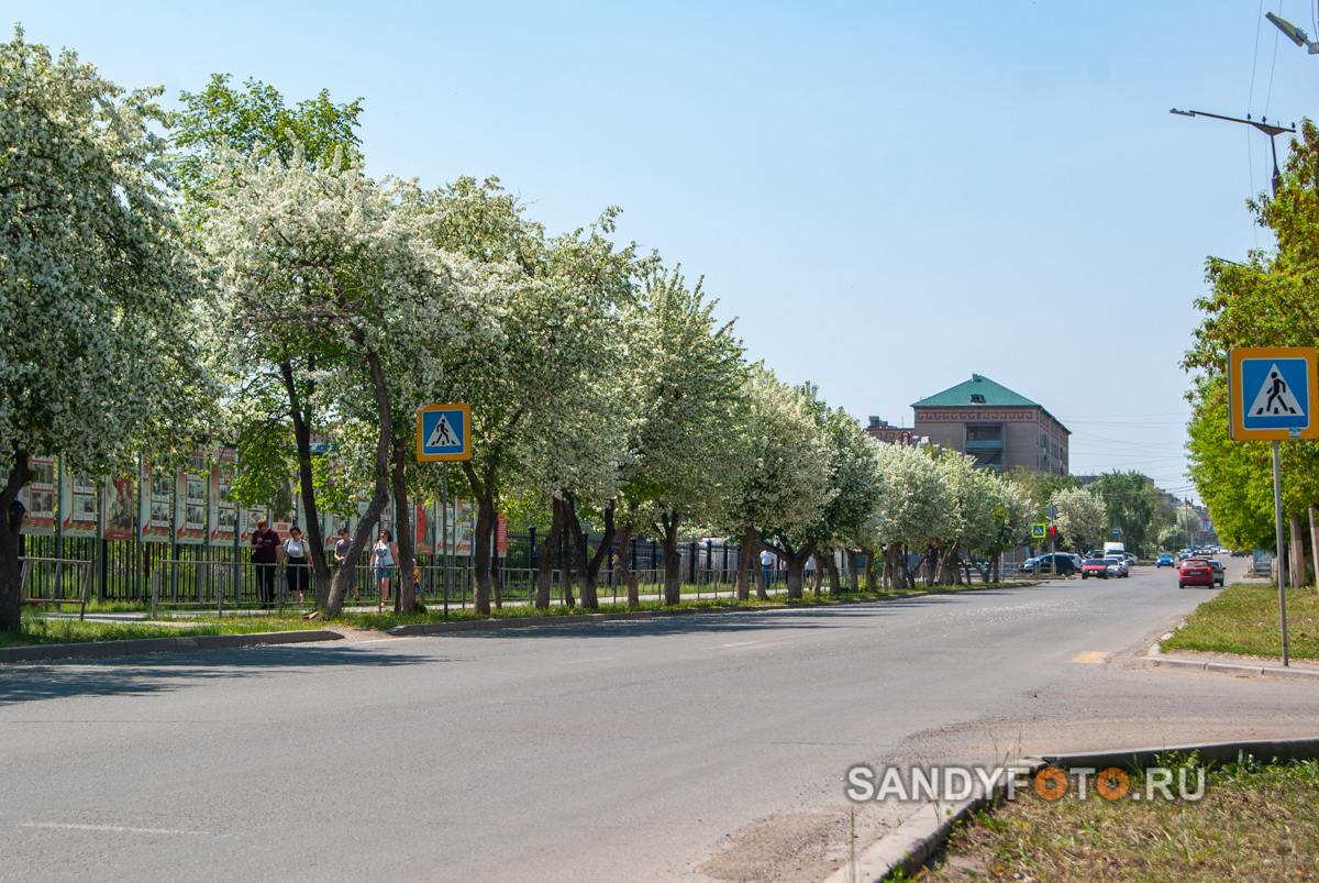 Цветущий Троицк 2021 — улица Гагарина