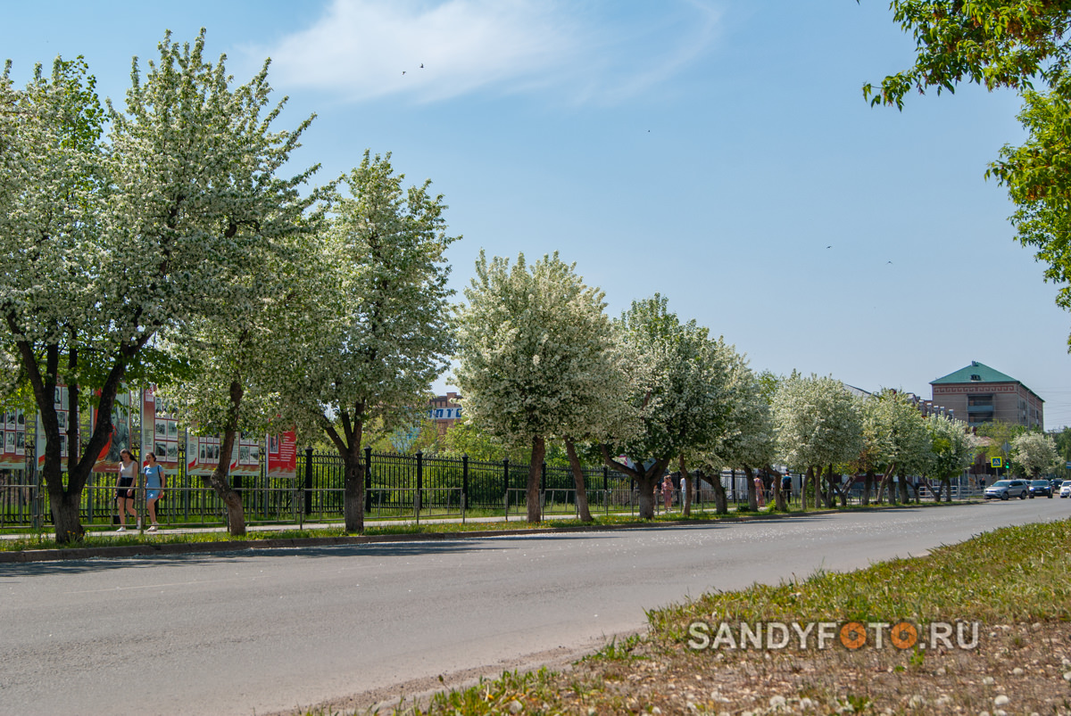 Цветущий Троицк 2021 — улица Гагарина