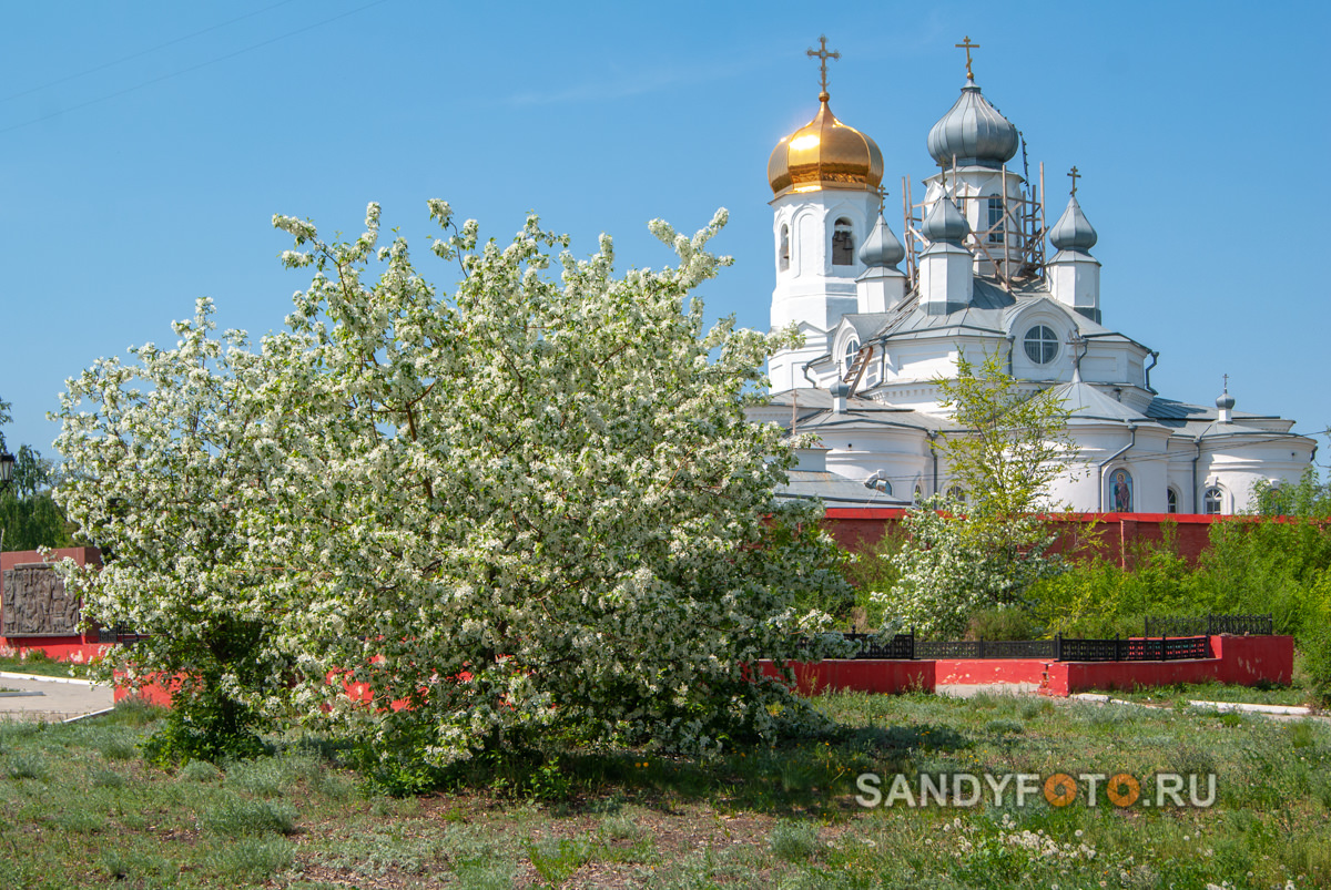 Фотосессия у храма Дмитрия Солунского