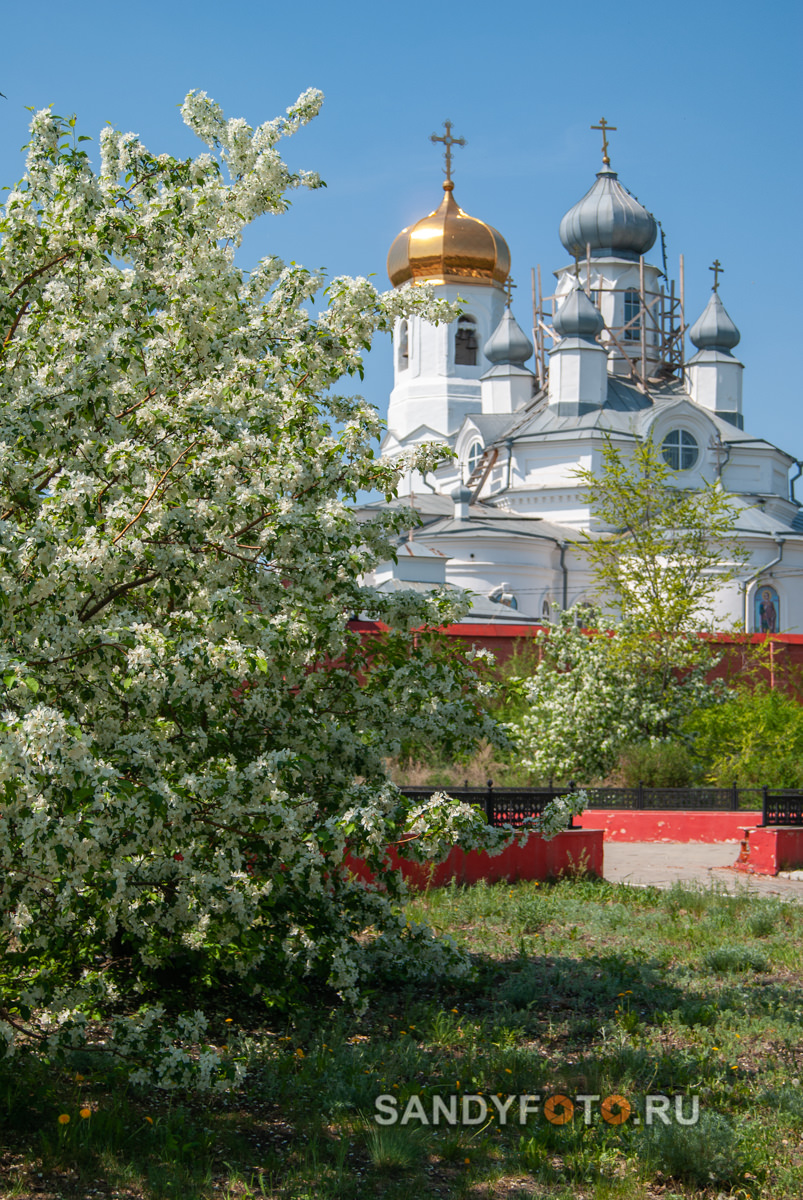 Фотосессия у храма Дмитрия Солунского